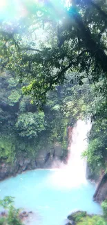 Beautiful waterfall in lush green forest with blue pool.