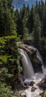 Lush green forest with a cascading waterfall amidst serene nature.