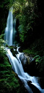 Forest waterfall with lush greenery and cascading water.