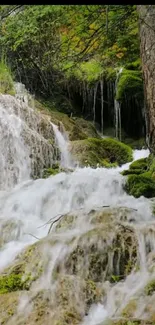 Serene waterfall in lush forest setting with cascading streams.