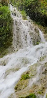 Serene waterfall cascading through lush forest greenery in tranquil setting.