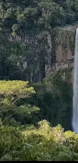 Majestic forest waterfall cascading down a lush green cliff.