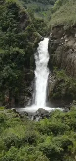 Serene waterfall amid lush green forest landscape.