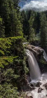 Serene forest waterfall with lush trees and misty backdrop.