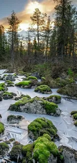 Serene winter sunset over icy forest with green mossy rocks