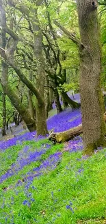 A lush forest scene with vibrant blue flowers and towering trees.