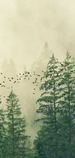 Misty forest with flying birds mobile wallpaper in calming green hues.