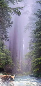 Majestic bear wading through a serene forest river setting.