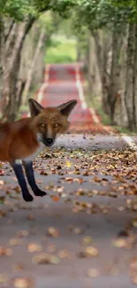 Fox on leaf-strewn forest path, surrounded by trees, capturing tranquility.