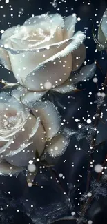 White roses with ice crystals against a dark background.