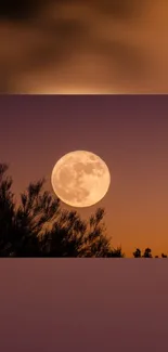 Full moon rising over silhouetted trees in a peaceful night sky.