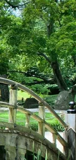 Serene garden bridge surrounded by lush green trees and foliage.