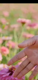 Hand caressing vibrant pink flowers in a lush garden setting.