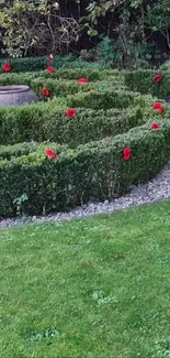 Serene garden hedge with red flowers and greenery.