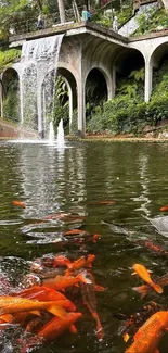 Koi fish swim beneath a garden waterfall in a serene setting.