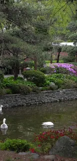 A serene garden with swans, flowers, and a pond.