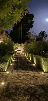 Moonlit garden path illuminated under serene night sky.