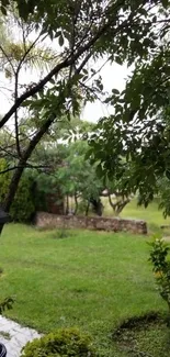 Serene garden view with lush greenery and a peaceful outdoor setting.