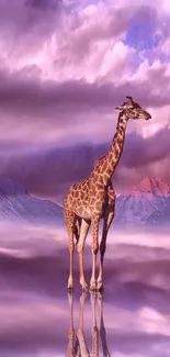 Giraffe in a purple landscape with a serene sunset reflection.