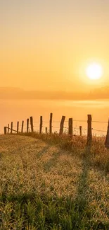 Golden sunrise over grassy field with rustic fence.