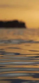 Golden sunset reflected on tranquil water surface.