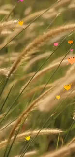 Serene tall grass with colorful hearts, perfect mobile wallpaper.