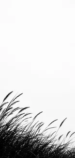 Black and white grass silhouette on minimalist wallpaper.