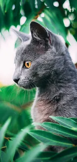 Gray cat surrounded by green leaves.