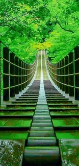 Lush green bridge surrounded by vibrant foliage in a serene forest setting.