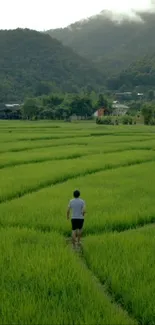 A serene view of lush green fields with distant mountains.