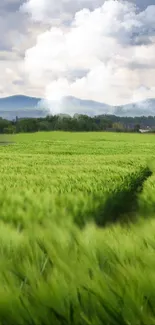 Green field under a cloudy sky with distant hills.