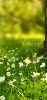 Serene green meadow with white flowers and a tree.