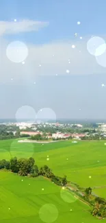 Lush green fields under a clear blue sky with floating bokeh lights.