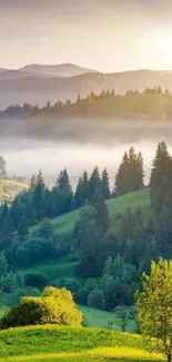 A serene view of green hills at sunrise, showcasing vibrant nature.