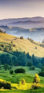 Serene green hills under morning sunlight with a misty mountain backdrop.