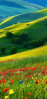 Rolling green hills with vibrant wildflowers under a clear sky.