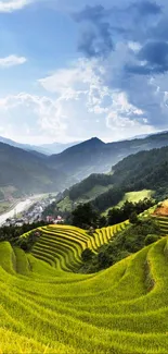 Lush green terraced hills under a blue sky.