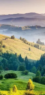 Serene green hills with morning mist and trees in a calming landscape.