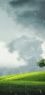 Solitary tree atop a lush green hill with dramatic clouds.