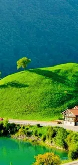 Vibrant green hillside with trees and a serene lake view.