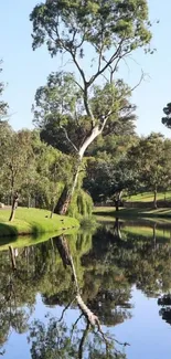 Serene green landscape with lake reflections and trees.