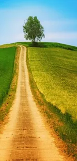 Serene green landscape with a path under a blue sky.