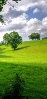 Serene landscape with green hills and trees under a blue sky.