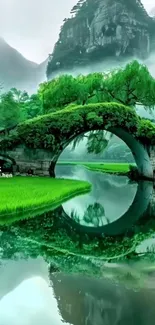 Serene green landscape with stone bridge and reflection in a tranquil setting.