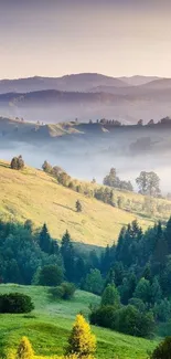 Serene green landscape with rolling hills and sunset view.