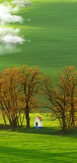 Serene green fields with trees and a small house, perfect for mobile wallpaper.