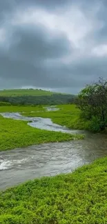 Serene green landscape with a winding river under a cloudy sky.