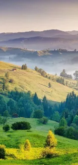 Serene sunrise over green hills and lush forests.