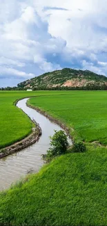 Lush green field with winding river and scenic hill under a cloudy sky.