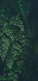 Serene green leaves pattern wallpaper for mobile phone.